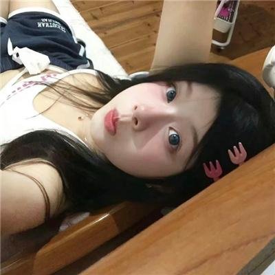 双生赤狐